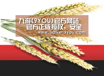 九游(9YOU)官方网站 - 官方正版授权，安全可靠首选