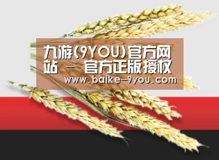 九游(9YOU)官方网站 - 官方正版授权，安全可靠首选
